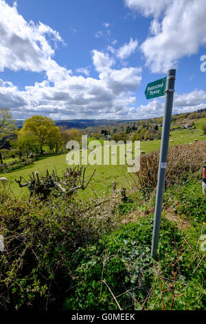 Wanderweg im Wye Valley Gloucestershire England UK Sign. Schild steht "Eingeschränkt Byway" Blick in Richtung Brockweir, Felder mit Schafen Stockfoto