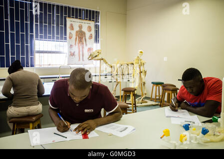 Studenten aus der Abteilung der biologischen Wissenschaften nehmen ihre Test, University of Namibia, Windhoek, Namibia Stockfoto