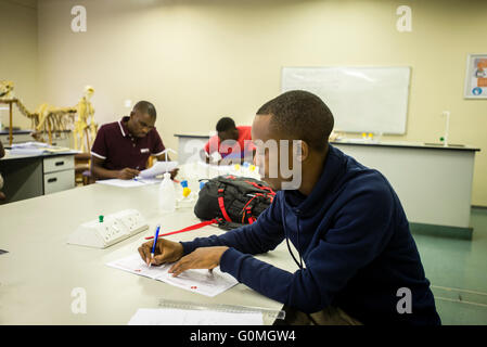 Studenten aus der Abteilung der biologischen Wissenschaften nehmen ihre Test, University of Namibia, Windhoek, Namibia Stockfoto