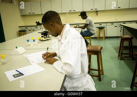 Studenten aus der Abteilung der biologischen Wissenschaften nehmen ihre Test, University of Namibia, Windhoek, Namibia Stockfoto