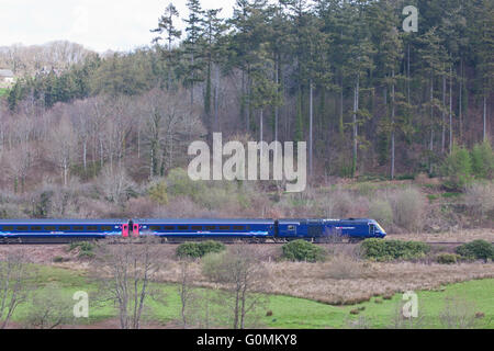 InterCity125 Personenzug auf einen besonderen Tagesausflug von Paddington nach Barnstaple beschleunigt durch Eggesford Wald in Devon Stockfoto