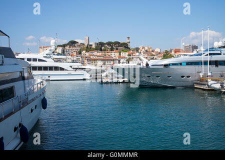 Luxus-Yachten vor Anker in Cannes, Frankreich. Die alte Stadt von Le Suquet ist im Hintergrund. Stockfoto