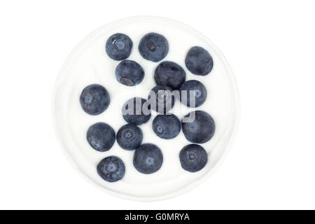 Heidelbeeren bestreut auf Schüssel mit griechischem Joghurt Stockfoto