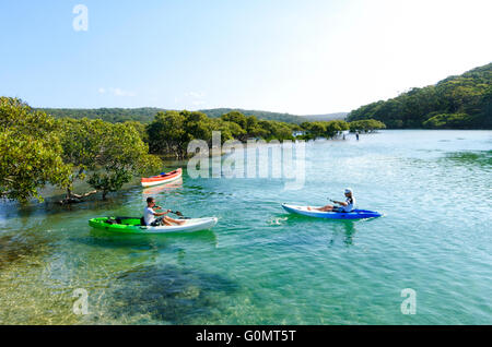 Menschen, die in den Küsten Mangrove, Kajak, Bonnie Vale, Royal National Park, New-South.Wales, NSW, Australien Stockfoto