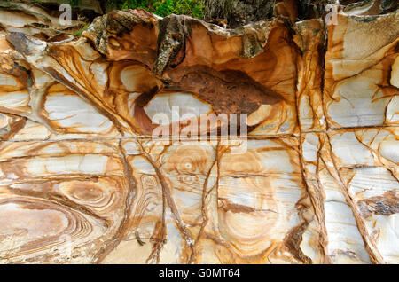 Details der Sandsteinfelsen in Bundeena, Royal National Park, New South Wales, Australien Stockfoto