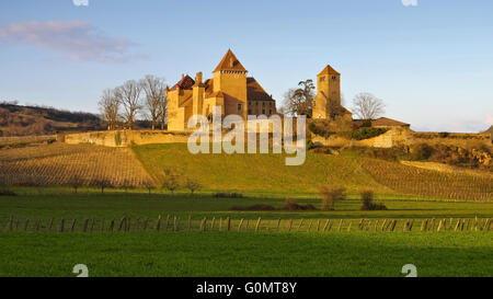 Pierreclos Schloss in Burgund, Frankreich - Chateau Pierreclos in Burgund, Frankreich Stockfoto