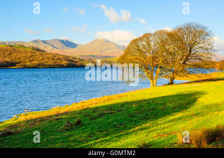 Wintermorgen am Ufer des Coniston Water auf Dow Crag und Coniston Greis Stockfoto