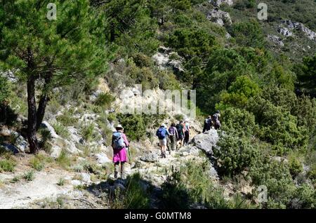 Wanderer auf der alten Seidenstraße durch Kalkstein Landschaften Sierra Tejeda spanischen Nationalpark Malaga Andalusien Spanien Stockfoto