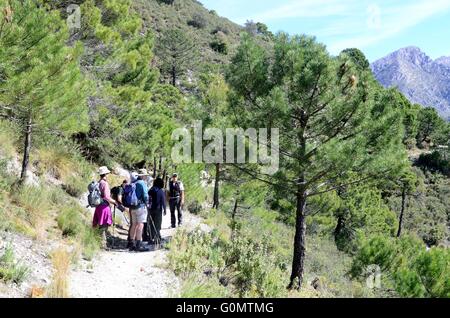 Wanderer auf der alten Seidenstraße durch Kalkstein Landschaften Sierra Tejeda spanischen Nationalpark Malaga Andalusien Spanien Stockfoto