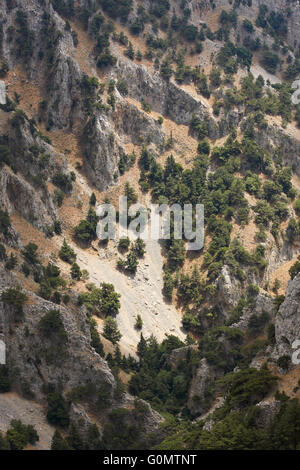 Felsen reduzieren am Imbros-Schlucht auf Kreta. Griechenland. Vertikal Stockfoto