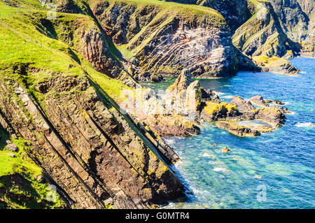 Schichten in Klippen westlich von St. Abbs Head Schottland gefaltet Stockfoto