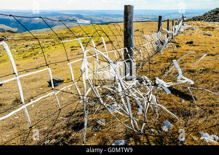 Hoar Frost auf Zaun hoch auf Plynlimon aka Pumlumon Fawr in Ceredigion Wales Stockfoto