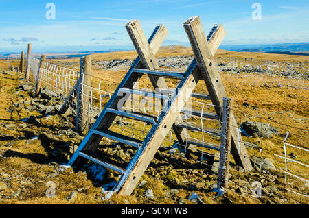 Hoar Frost am Zaun und Stil auf Plynlimon aka Pumlumon Fawr in Ceredigion Wales Stockfoto