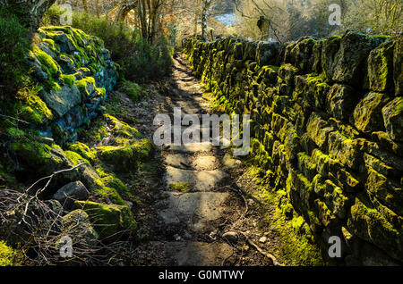 Alten Maultierweg in der Nähe von Hebden Bridge in Calderdale West Yorkshire Stockfoto