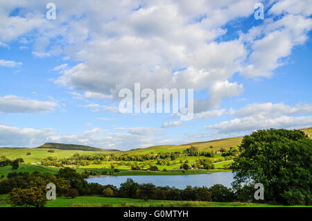 Semer Wasser in Raydale ein Zweig der Wensleydale in North Yorkshire Stockfoto