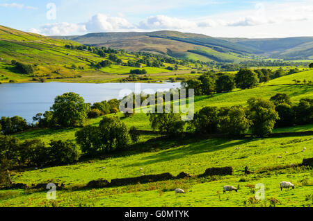 Semer Wasser in Raydale ein Zweig der Wensleydale in North Yorkshire Stockfoto