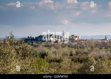 Avignon, Frankreich, Europa Stockfoto