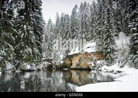 Sandstein-Klippe in der Nähe des Flusses in den Wald Stockfoto