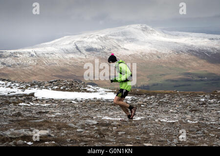 Ein Läufer auf dem Gipfel des Ingleborough während des jährlichen drei Spitzen-Rennens. In der Ferne ist eine verschneite Whernside Stockfoto