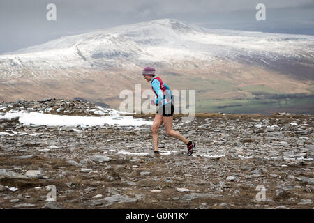 Ein Läufer auf dem Gipfel des Ingleborough während des jährlichen drei Spitzen-Rennens. In der Ferne ist eine verschneite Whernside Stockfoto