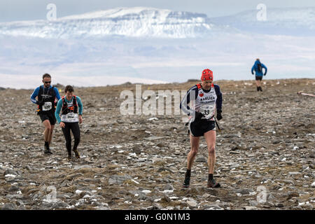 Läufer auf dem Gipfel des Ingleborough während des jährlichen drei Spitzen-Rennens. In der Ferne ist eine verschneite Pen-y-Gent Stockfoto