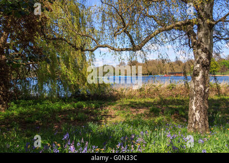 Der serpentine Lake Hyde Park an einem sonnigen Tag. Stockfoto