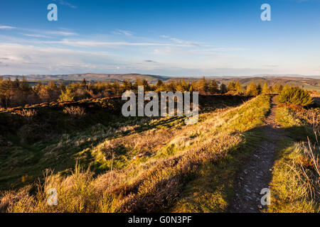 Mit Blick auf die Long Mynd in der Eisenzeit Stadtmauer von begraben Gräben Hügel Fort, in der Nähe von Clunton, Clun, Shropshire, England Stockfoto