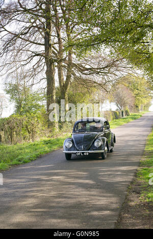 1949 VW Käfer Oldtimer auf einer englischen Landstraße. Leicestershire, England Stockfoto