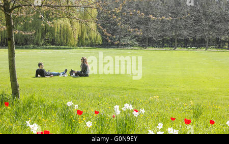 Studenten auf einer Wiese in den Gärten am Trinity College (University of Cambridge, England), die größte Oxbridge Hochschule. Stockfoto