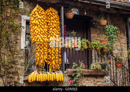 Anzeigen von Balkonblumen und Trocknung Maiskolben, Landhaus, Liébana Region, Picos de Europa, Kantabrien, Spanien, Europa Stockfoto