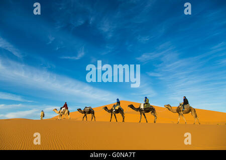 Kamel-Karawane Touristen in den Sanddünen des Erg Chebbi Stockfoto