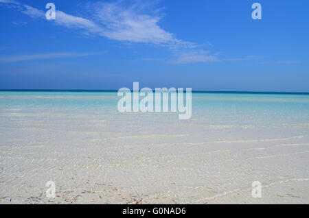 Cayo Santa Maria, Kuba 2016 Stockfoto