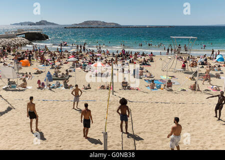 Menschen am Strand von Anse des Catalans, Marseille, Bouches-du-Rhône, Provence-Alpes-Cote d ' Azur, Frankreich Stockfoto