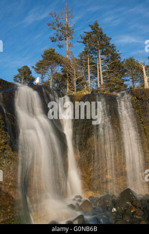 Hug Punkt Wasserfall, am Strand, Küste von Oregon, Sonnenuntergang Stockfoto