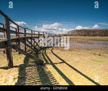 Holzsteg am Longniddry auf den Firth of Forth Edinburgh Schottland Stockfoto