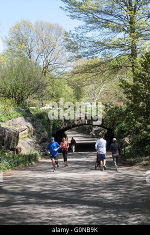 Weg im Central Park, New York Stockfoto