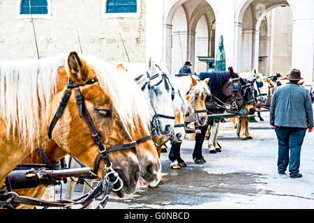 Fiaker in Salzburg, Österreich; Fiaker in Salzburg, Österreich Stockfoto