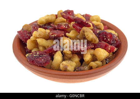 Eine kleine Schüssel gefüllt mit Cranberries und Walnüssen isoliert auf einem weißen Hintergrund. Stockfoto