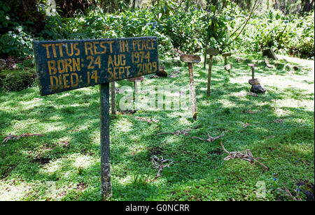 Foto von Jamie Callister ©. Dian Fossey Grab und ehemaligen Lagergelände, Volcanoes-Nationalpark, Ruanda, Zentralafrika, Stockfoto