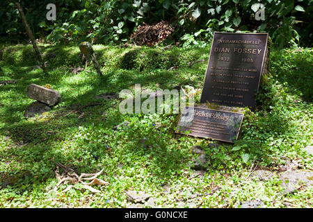 Foto von Jamie Callister ©. Dian Fossey Grab und ehemaligen Lagergelände, Volcanoes-Nationalpark, Ruanda, Zentralafrika, Stockfoto