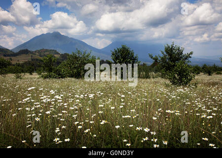 Foto von Jamie Callister ©. Dian Fossey Grab und ehemaligen Lagergelände, Volcanoes-Nationalpark, Ruanda, Zentralafrika, Stockfoto