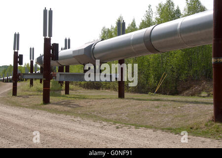 Alaska-Erdöl-Pipeline auf dem Dalton Highway.  Dieses Foto ist typisch für den Bau der Pipeline ausgelöst wird. Stockfoto