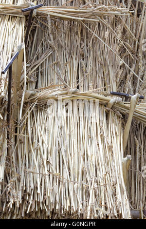 Thatching Ausrüstung für Dächer Stockfoto