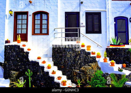 Lanzarote Arrecife Puerto Calero Kakteen Gerichte auf weißen Stufen Stockfoto