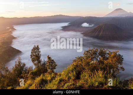 Blick auf Mount Bromo Landschaft bei Sonnenaufgang Stockfoto