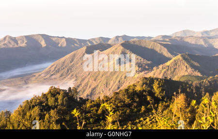 Landschaft rund um Mount Bromo bei Sonnenaufgang Stockfoto