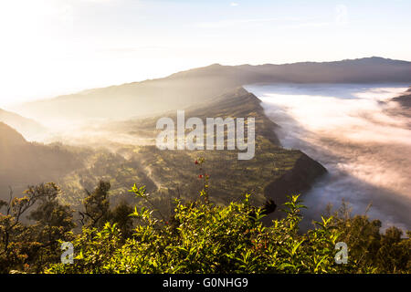 Blick auf Mount Bromo Landschaft bei Sonnenaufgang Stockfoto