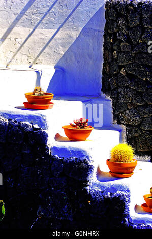 Lanzarote Arrecife Puerto Calero Kakteen Gerichte auf weißen Stufen Stockfoto