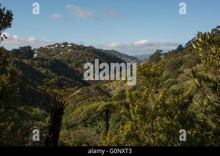 Zealandia schont Neuseeland Pflanzen und Tiere in einem Tal am Rand von Wellington mit einem Hightech-Zaun. Stockfoto