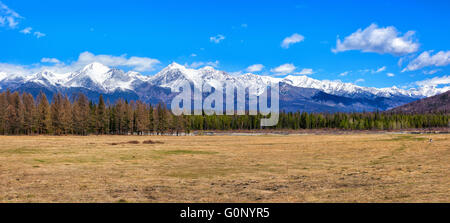 Wiese mit einem trockenen Gräsern Anfang Mai in einer waldreichen Umgebung. Östlichen Sayan. Burjatien. Russland Stockfoto